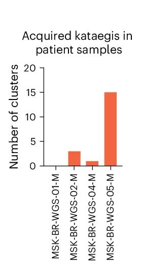 Open access visualization of Bar Plot, Barplots, Clusters, Kataegis, Metastatic Tumor