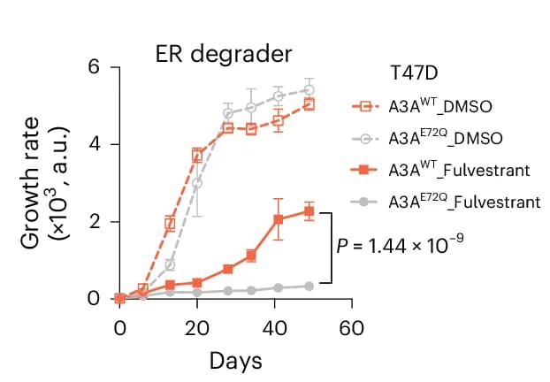Open access visualization of Line Plot, Error Bars, Growth Curves, T47D A3A WT Cells, A3A E72Q Cells