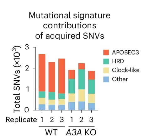 Open access visualization of Bar Plot, Stacked Bar Plot, Mutational Signature, SNVs