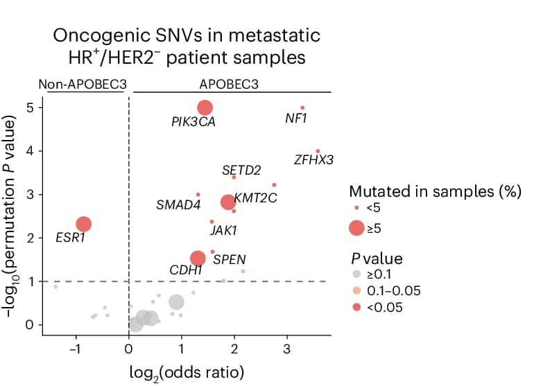 Open access visualization of Scatter Plot, Volcano Plot, Bubble Plot, Gene Enrichment, Metastatic HR+/HER2- Samples