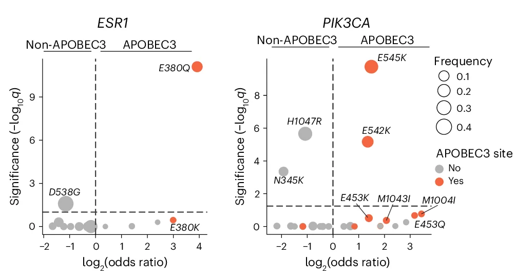 Open access visualization of Scatter Plot, Bubble Plot, Volcano Plot, Site-Specific Enrichment, ESR1