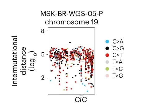 Open access visualization of Scatter Plot, Rainfall Plot, Intermutational Distance, SNVs, Chromosome 19