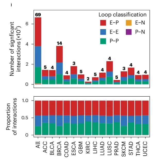 Open access visualization of Stacked Bar Plot, H3K27ac HiChIP, FitHiChIP Interactions, Cancer Type, Loop Classification