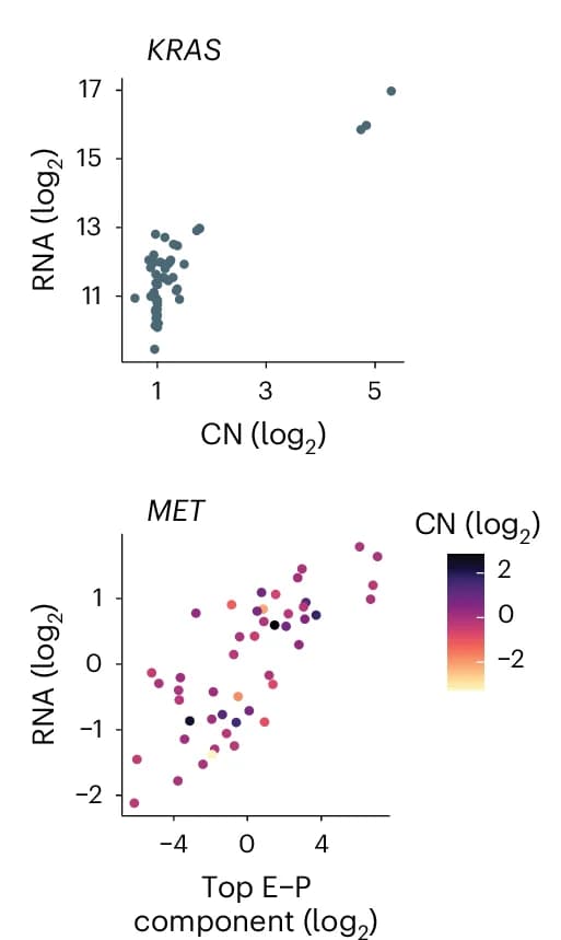 Open access visualization of Scatter Plot, DNA CN, RNA Expression, KRAS, E-P Interaction