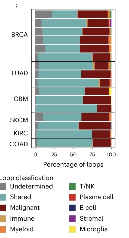 Open access visualization of Stacked Bar Plot, Loop Annotation, scATAC-seq, HiChIP, H3K27ac
