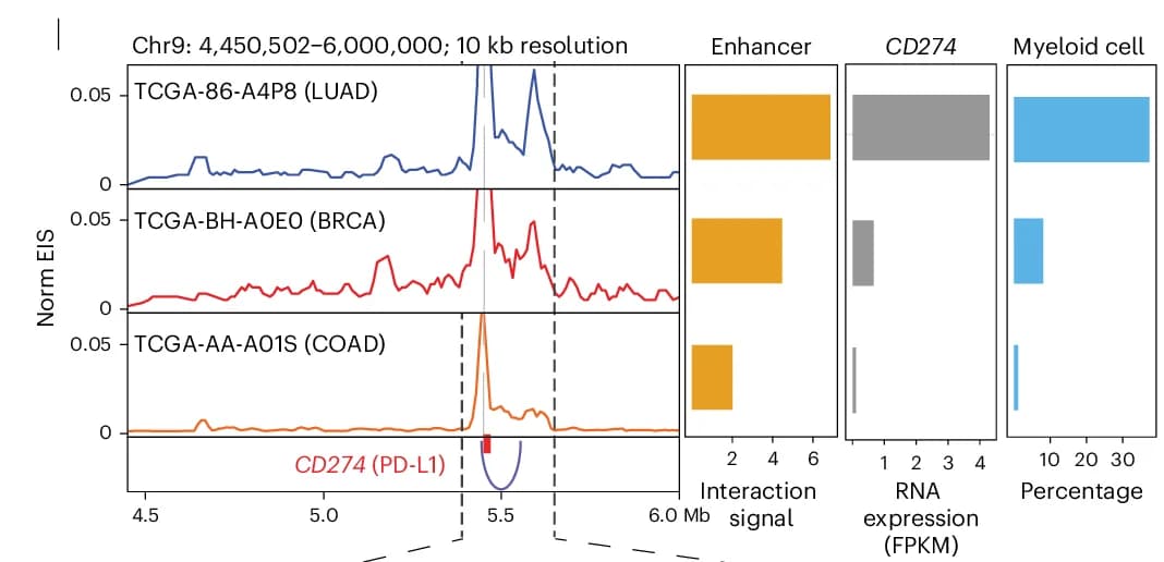 Open access visualization of Line Plot, Bar Plot, Virtual 4C, scATAC-seq, Myeloid Cells
