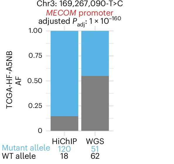 Open access visualization of Stacked Bar Plot, Bar Plot, Allele Frequency, MECOM, HiChIP