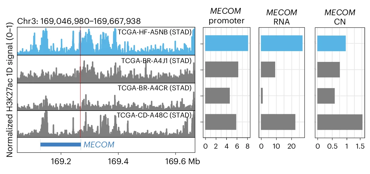 Open access visualization of Line Plot, Bar Plot, Signal Tracks, H3K27ac, HiChIP