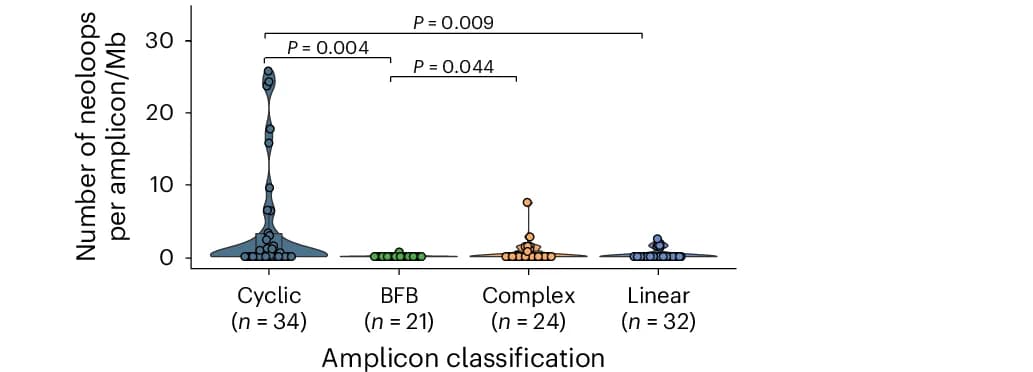 Open access visualization of Violin Plot, Scatter Plot, Neoloops, Cyclic Amplifications, BFB