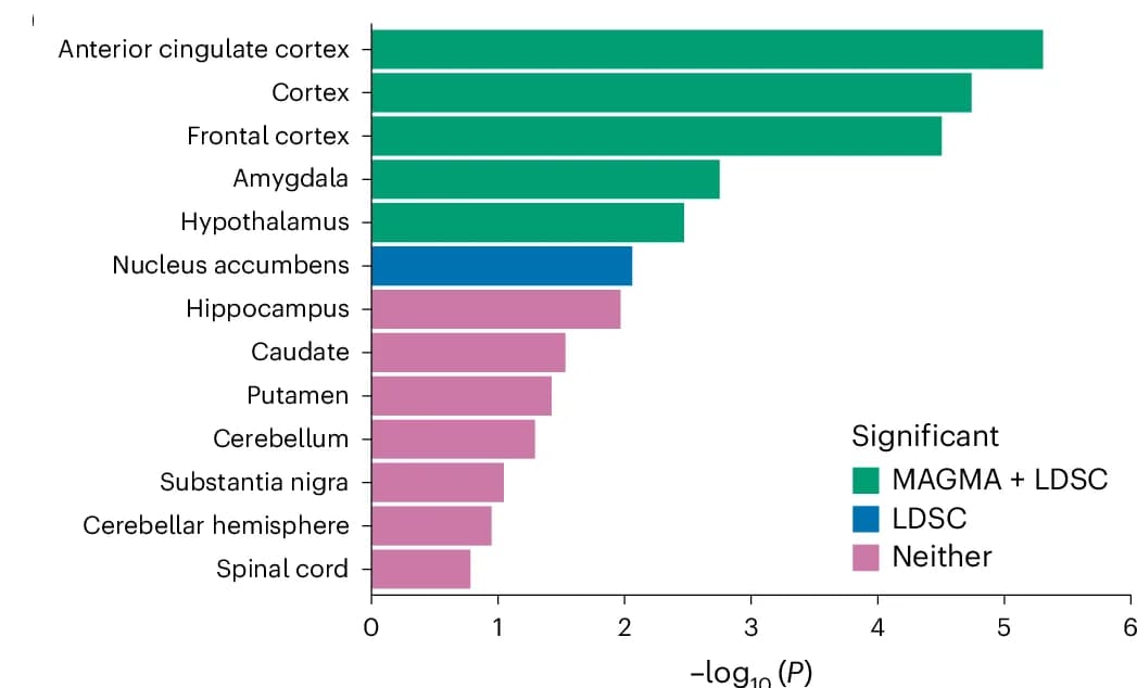Open access visualization of Bar Plot, OCD GWAS Signal, Brain Tissues, GTEx, MAGMA Gene Set Enrichment Test
