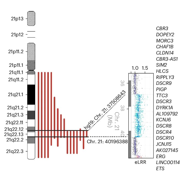 Open access visualization of Scatter Plot, Bar Plot, MAR, Chromosome 21amp
