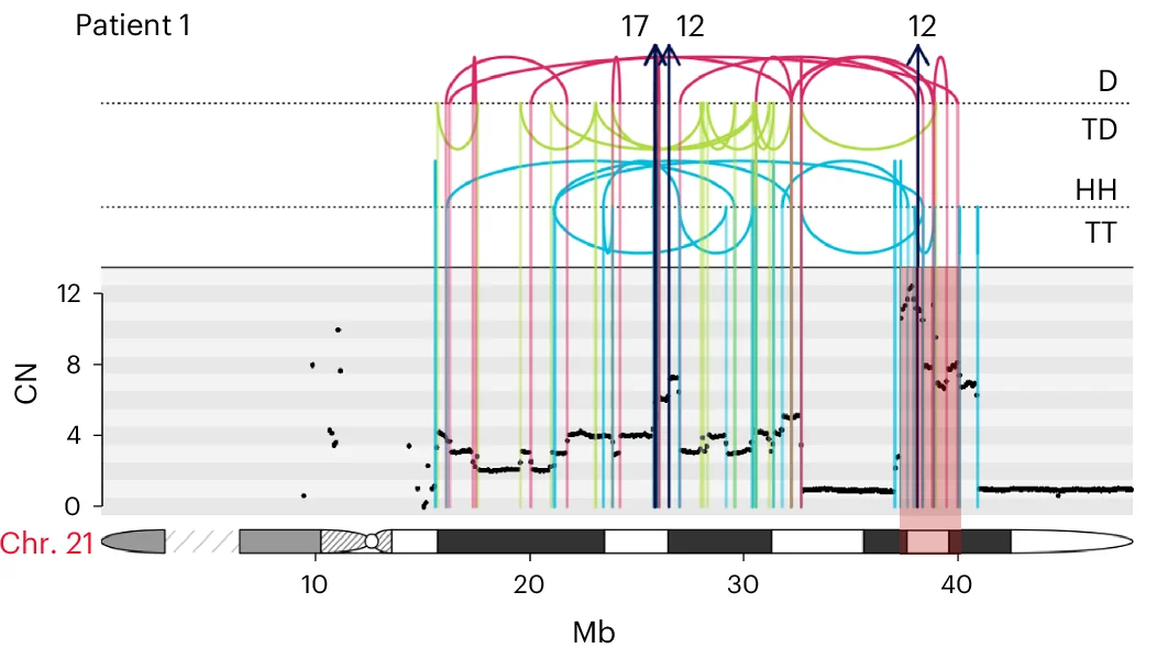 Open access visualization of Scatter Plot, Line Plot, Network, CN, SV