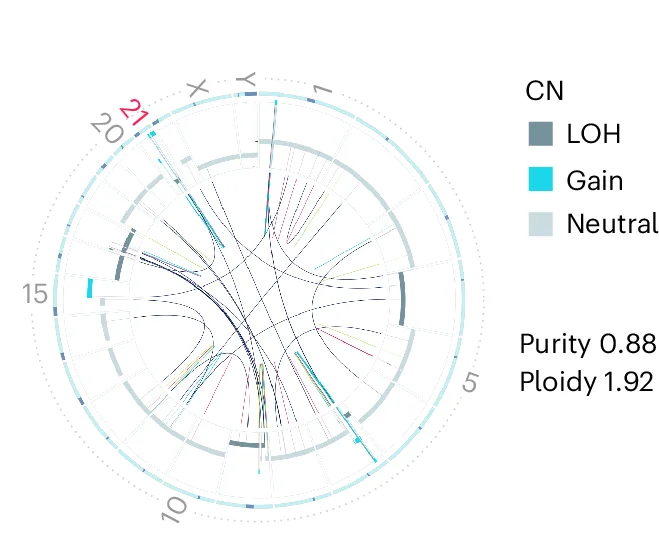 Open access visualization of Chord, Pathway, Circos Plots, SV Burden, Chromosome 21