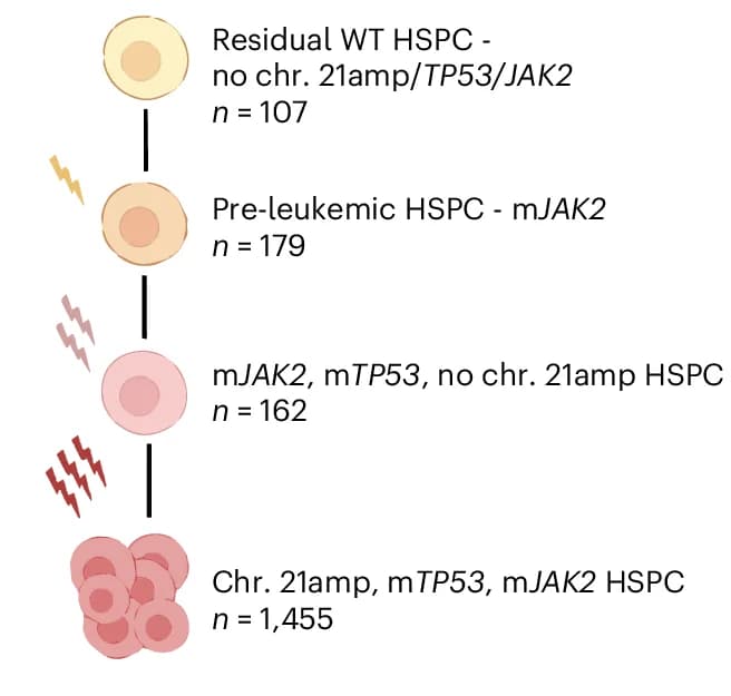 Open access visualization of Workflow, TARGET-Seq, Cells, JAK2, TP53