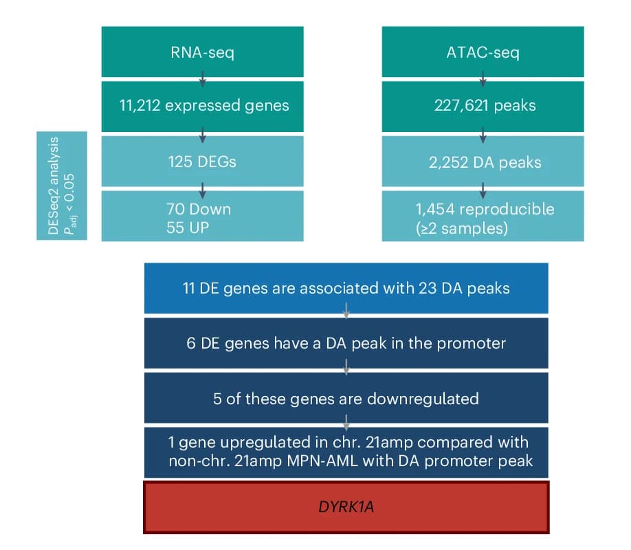 Open access visualization of Workflow, Flowchart, RNA-Seq, ATAC-Seq, DE Genes