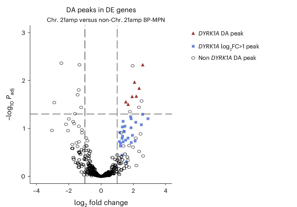 Open access visualization of Volcano Plot, DA Peaks, DE Genes, BP-MPN Samples, DYRK1A Peaks