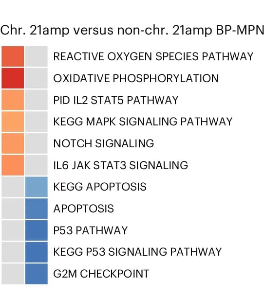 Open access visualization of Heatmap, GSEA, KEGG, HALLMARK Pathways, chr. 21amp