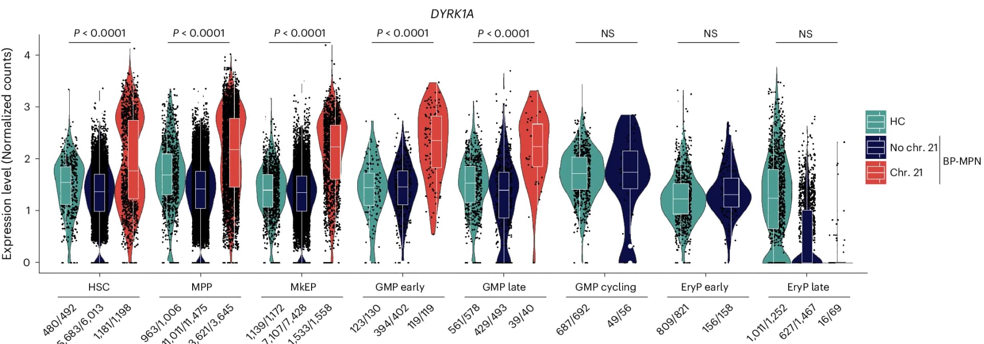 Open access visualization of Violin Plot, Box Plot, Scatter Plot, Violin plots, DYRK1A