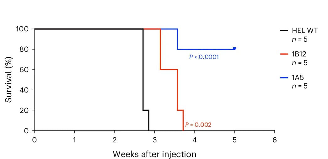Open access visualization of Line Step, Survival Curve, Kaplan-Meier Survival Curves, Mice, HEL Cells