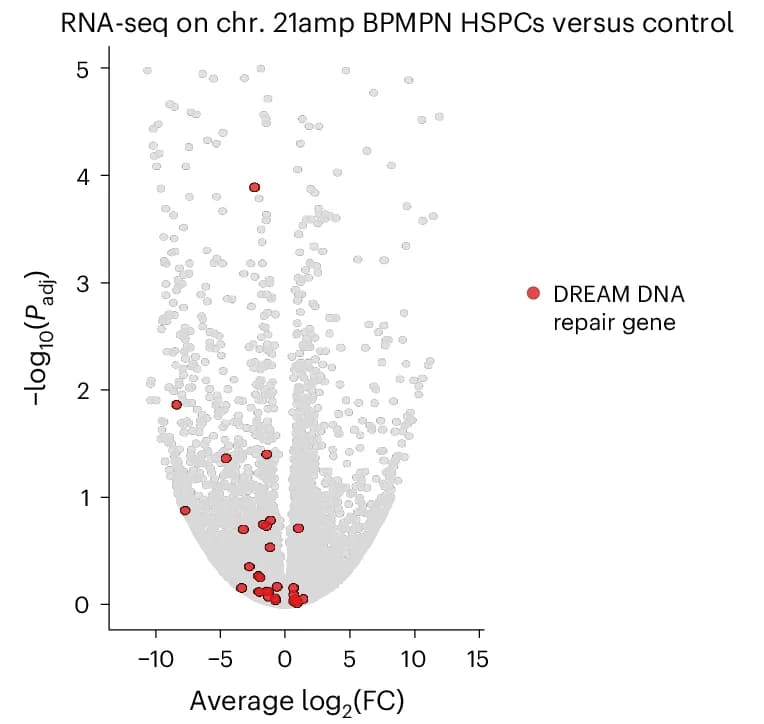 Open access visualization of Volcano Plot, Scatter Plot, Expressed Genes, DREAM Complex, Target Genes