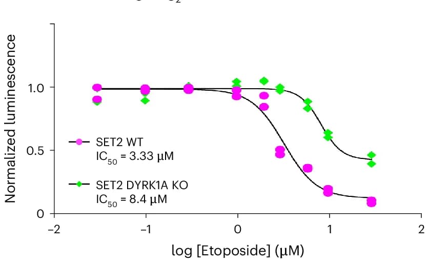 Open access visualization of Line Plot, Scatter Plot, Proliferation, CRISPR KO, SET2 Clones