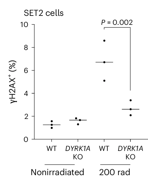 Open access visualization of Scatter Plot, Cells, γH2AX, Flow Cytometry, Irradiation