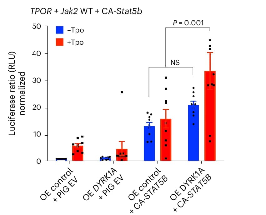 Open access visualization of Bar Plot, Error Bars, Clustered, Luciferase Reporter Assays, STAT5 Transcriptional Activity