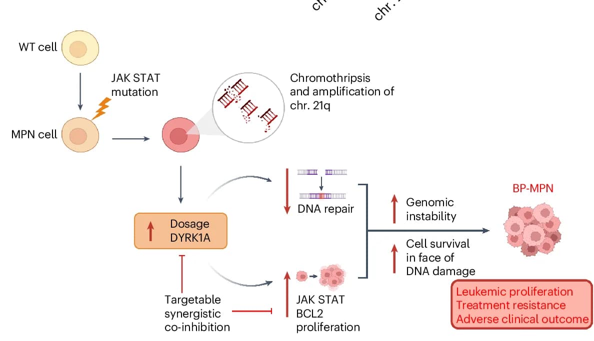 Open access visualization of Workflow, Flowchart, Illustration, Schematic Model, chr. 21amp