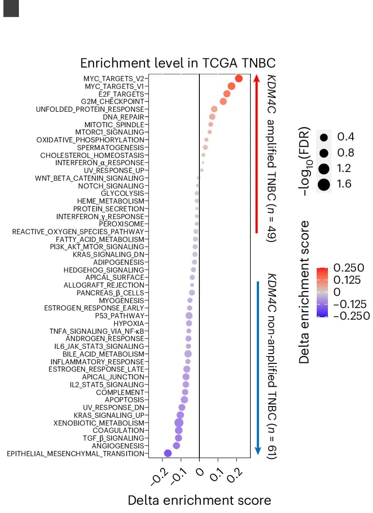 Open access visualization of Scatter Plot, Volcano Plot, Dot Plot, Hallmark Gene Signature, Enrichment Scores