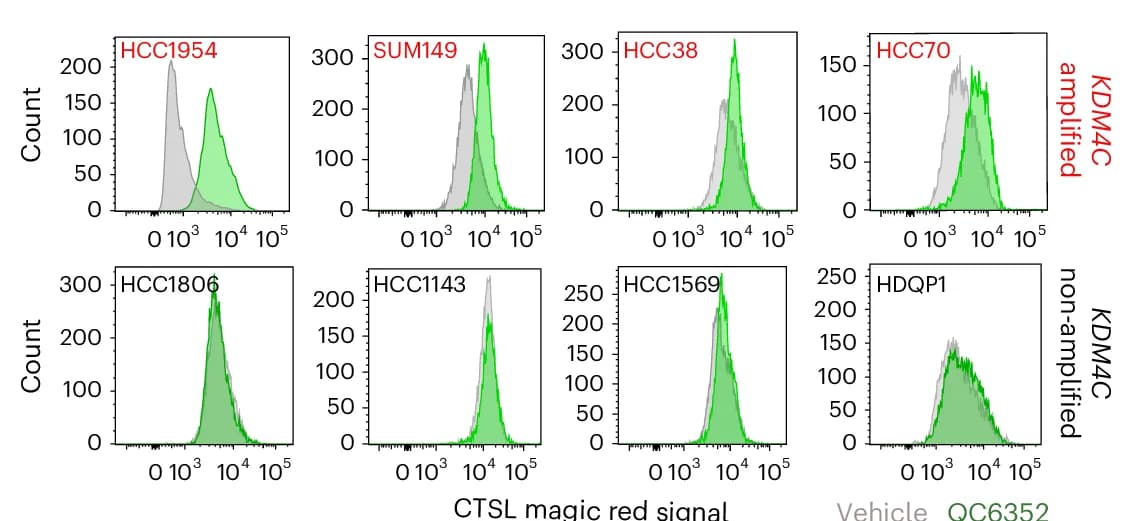 Open access visualization of Density Plot, Flow Cytometry, CTSL, Magic Red Signal, QC6352 Treatment