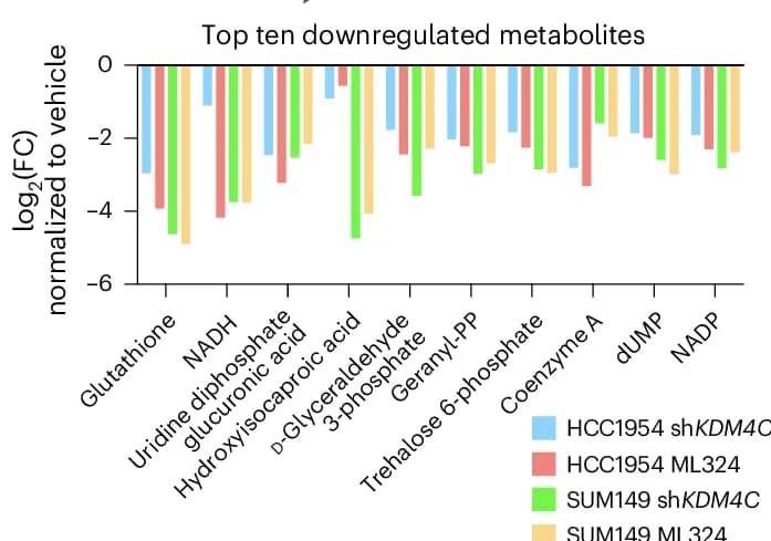 Open access visualization of Bar Plot, Clustered, Metabolites, sh KDM4C, HCC1954 Cells