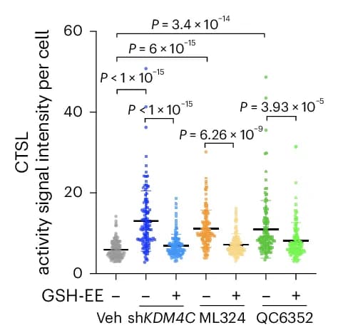 Open access visualization of Scatter Plot, Dot Plot, CTSL Activity, sh KDM4C, SUM149 Cells