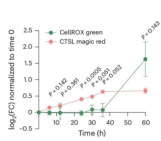 Open access visualization of Line Plot, Error Bars, QC6352, CTSL Magic Red, CellROX Green Signal