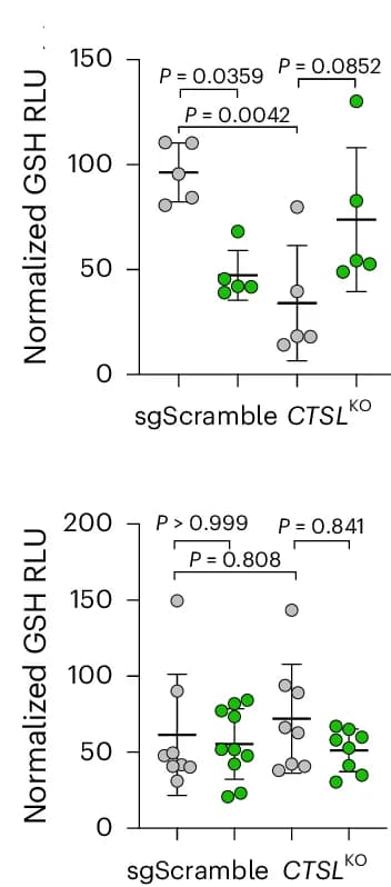 Open access visualization of Scatter Plot, Error Bars, Dot Plot, GSH, Tumor Weight