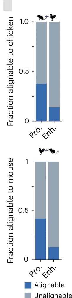 Open access visualization of Stacked Bar Plot, Alignment, Chicken Genome, Mouse Genome, Counts per Million