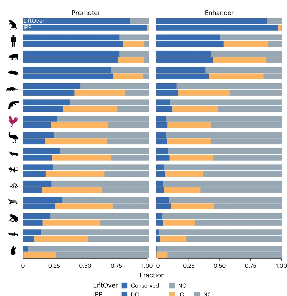 Open access visualization of Stacked Bar Plot, Orthologs, Mouse, Bridging Species, LiftOver Alignments