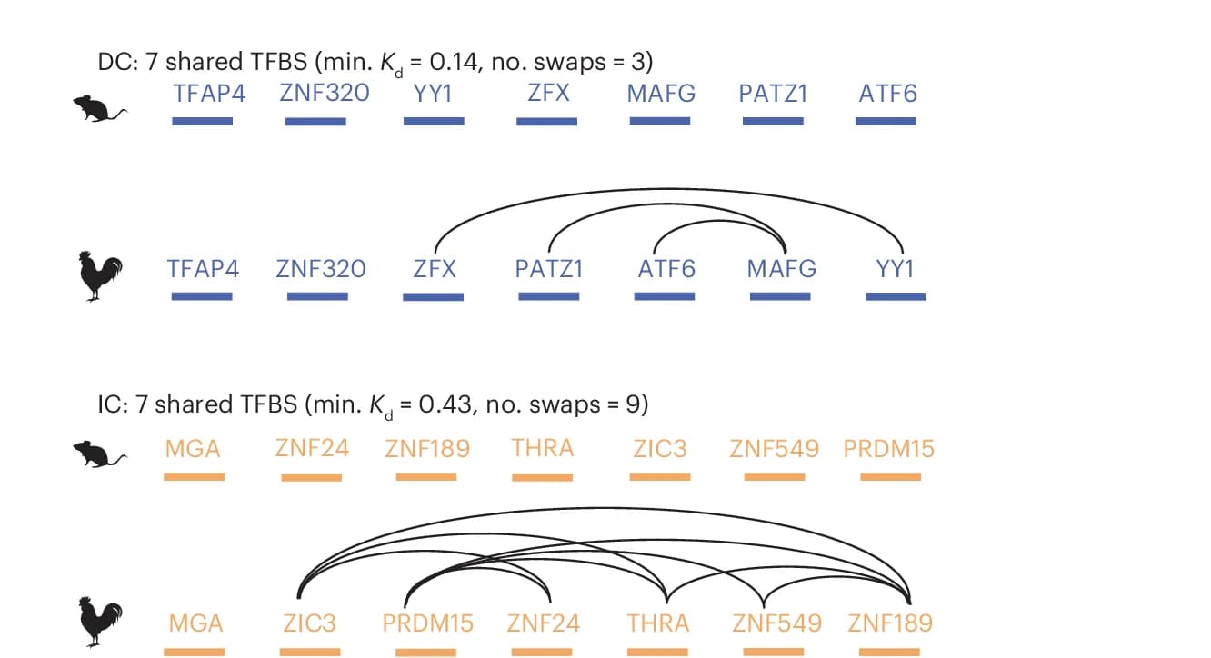 Open access visualization of Network, Pathway, TFBS, IC Enhancer Pairs, DC Enhancer Pairs