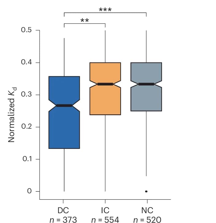 Open access visualization of Box Plot, K d Scores, DC Enhancer Pairs, IC Enhancer Pairs, NC CRE Enhancer Pairs