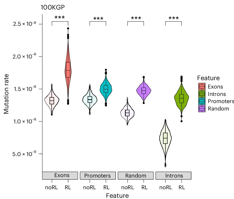 Open access visualization of Violin Plot, Box Plot, Gene Diagrams, Variant Depletion, Heatmap