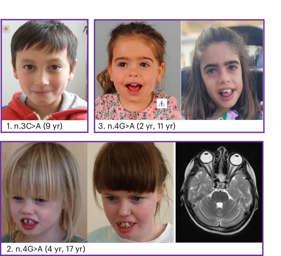 Open access visualization of Photo, Microscopy, Facial Photographs, MRI Images, Individuals