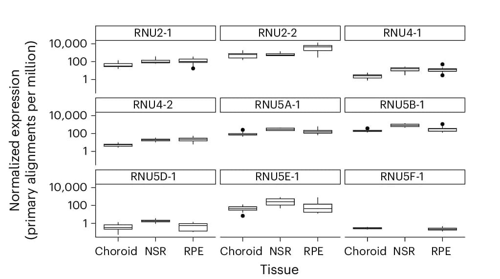 Open access visualization of Box Plot, RNA-Seq, Expression Data, Choroid, Retina