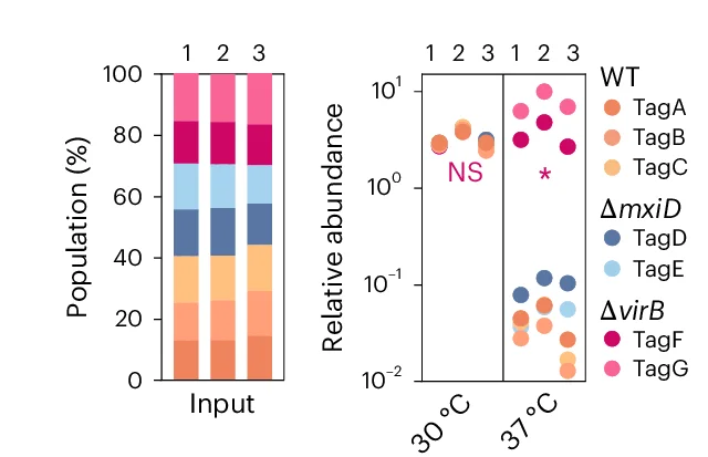 Open access visualization of Stacked Bar Plot, Scatter Plot, Barcoded Competition Assay, Shigella, Wild-type Strains