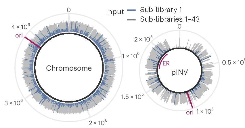 Open access visualization of Other, Shigella, Chromosome, pINV, TIS