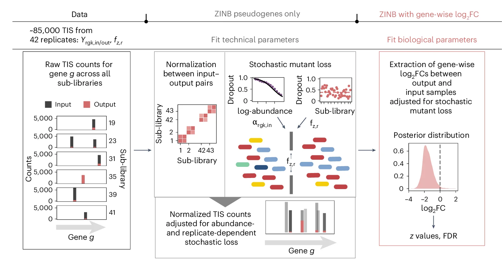 Open access visualization of Workflow, Bar Plot, Scatter Plot, Density Plot, ZINB Model