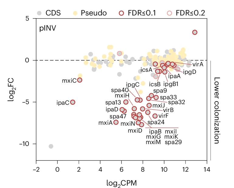 Open access visualization of Scatter Plot, Volcano Plot, MA Plots, Chromosome, pINV