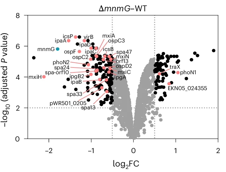 Open access visualization of Volcano Plot, Scatter Plot, Volcano Plots, Differentially Abundant Proteins, Shigella