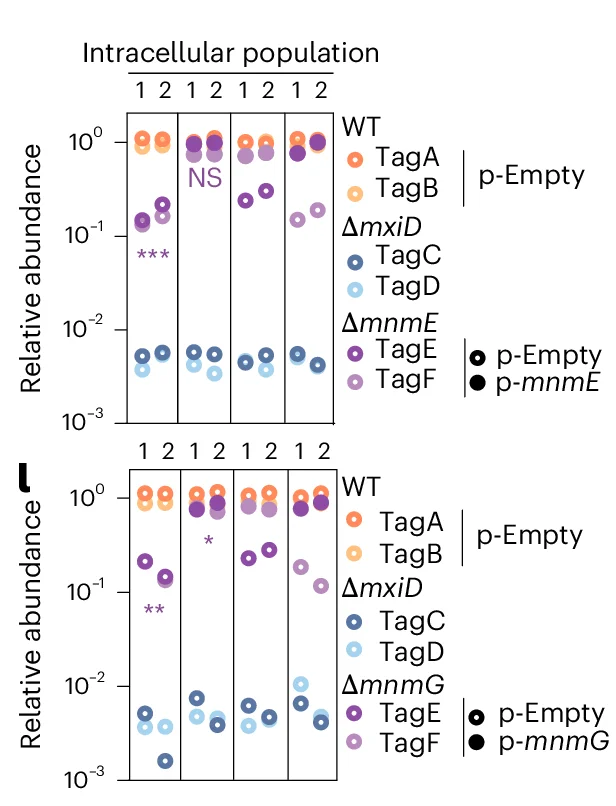 Open access visualization of Scatter Plot, BO Enteroids, Barcoded Consortia, Relative Tag Abundance, p-Empty