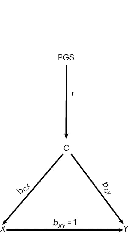 Open access visualization of Workflow, Flowchart, DAG, PGS, Confounder