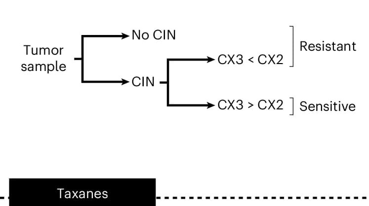 Open access visualization of Workflow, Flowchart, CIN Signatures, Biomarkers, Platinum-Based Chemotherapies