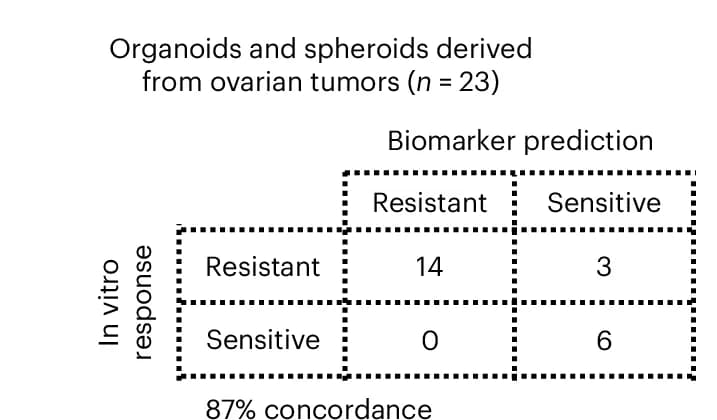 Open access visualization of Table Image, Contingency Table, Patient-Derived Models, Doxorubicin, Amplification Signatures